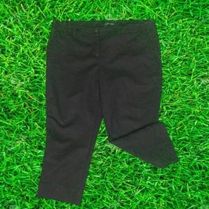Hilary Radley Pants Sz. 16